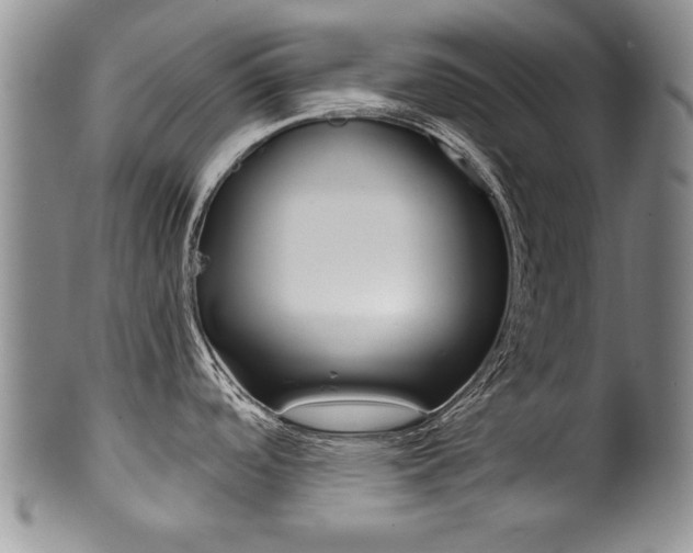 X0000101121488200806261034