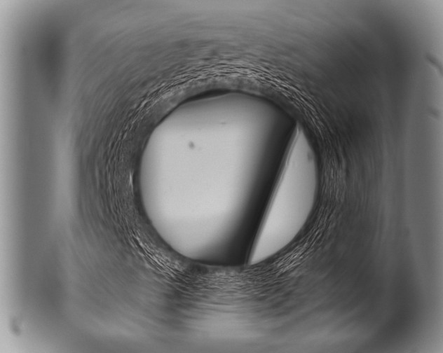 X0000101121489200806261033