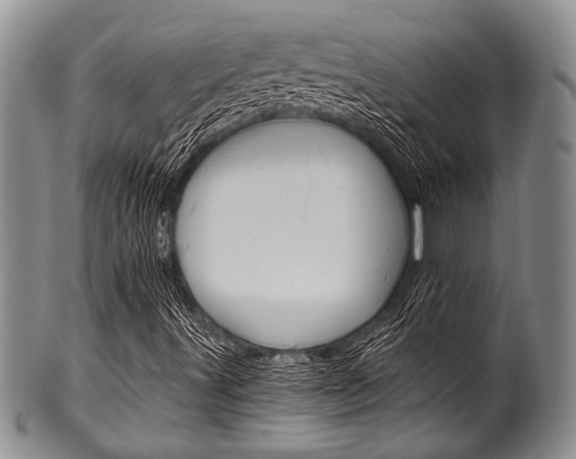 X0000101121491200806261033