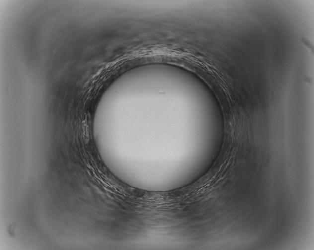 X0000101121493200806261033