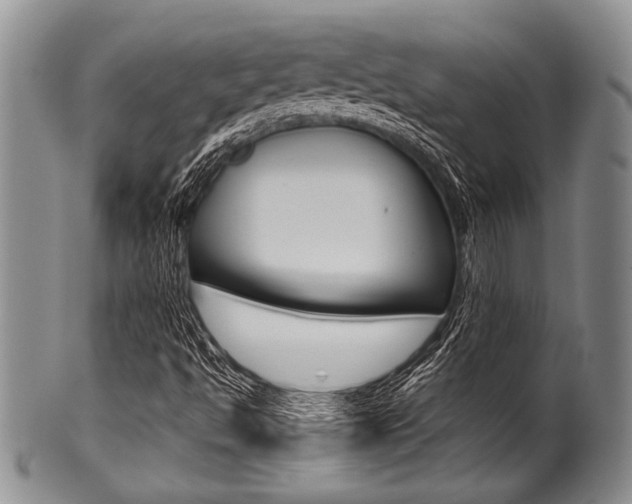 X0000101121494200806261033