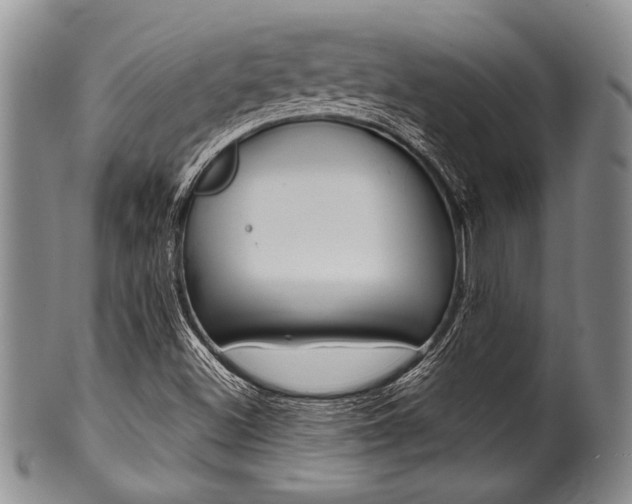 X0000101121500200806261033