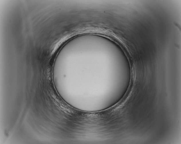 X0000101121501200806261033