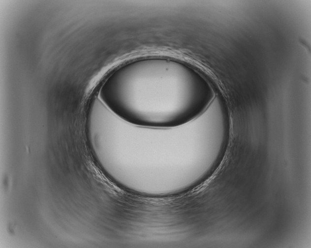 X0000101121502200806261033