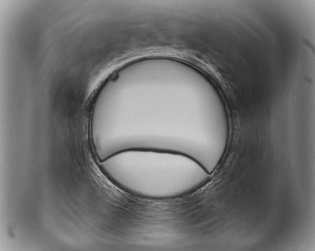 X0000101121504200806261033