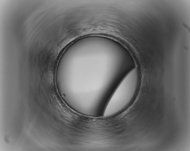 X0000101121505200806261033