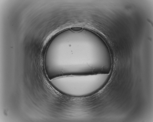 X0000101121506200806261033