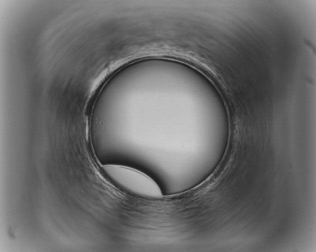 X0000101121509200806261033
