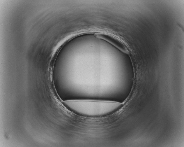 X0000101121510200806261033