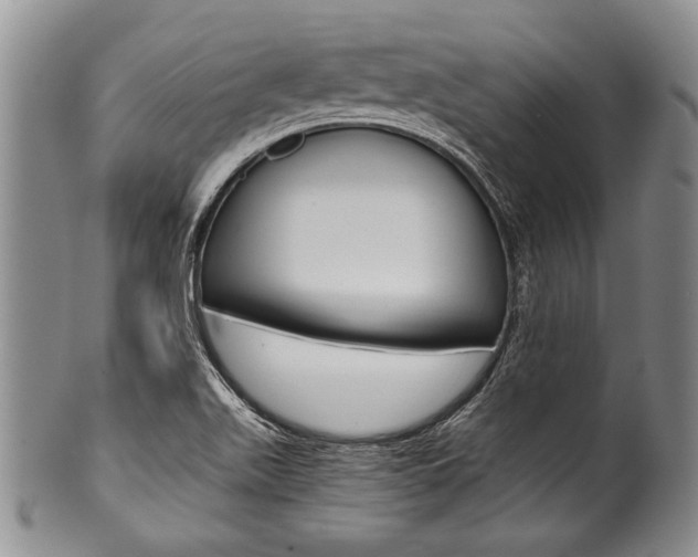 X0000101121511200806261033