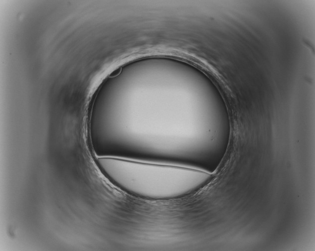 X0000101121512200806261033