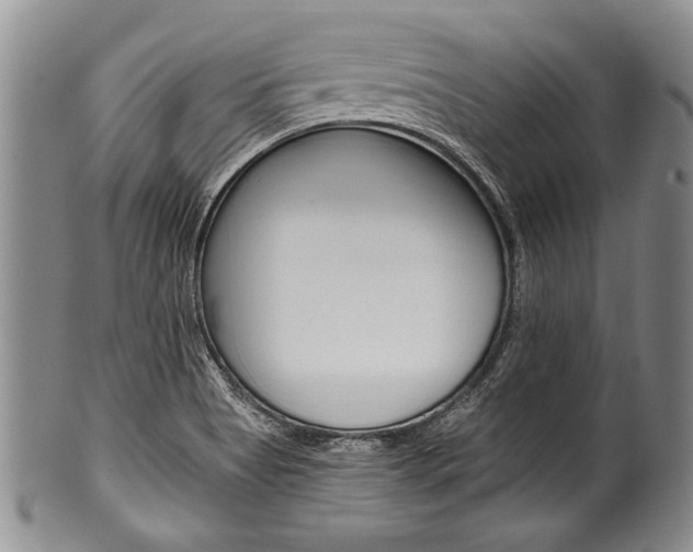 X0000101121513200806261033