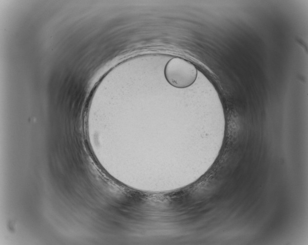 X0000101121514200806261033