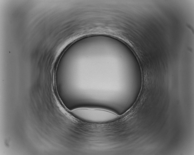 X0000101121515200806261033