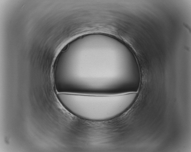 X0000101121516200806261033