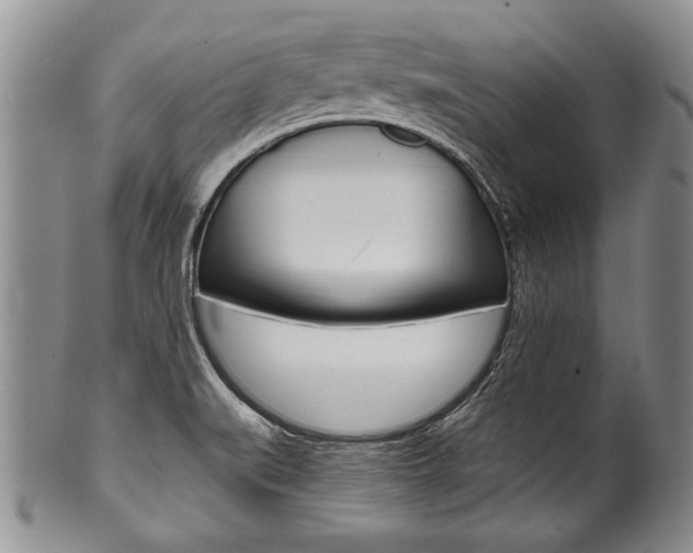 X0000101121519200806261033