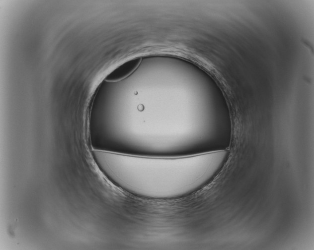 X0000101121520200806261033