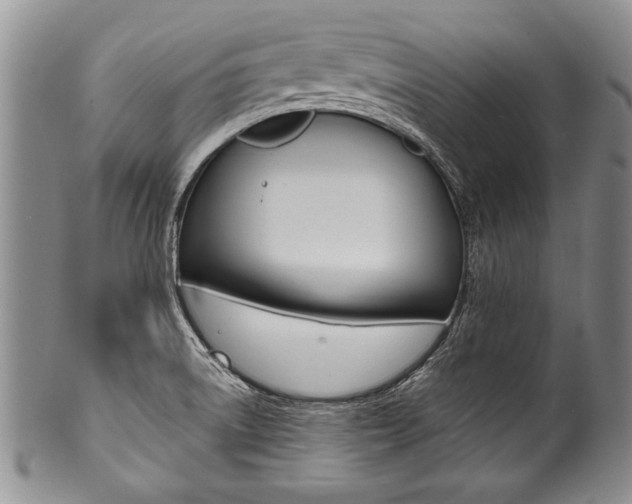 X0000101121522200806261033