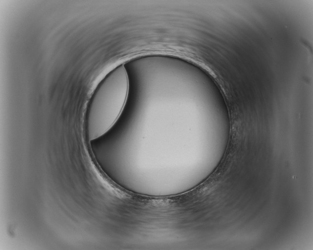 X0000101121523200806261033