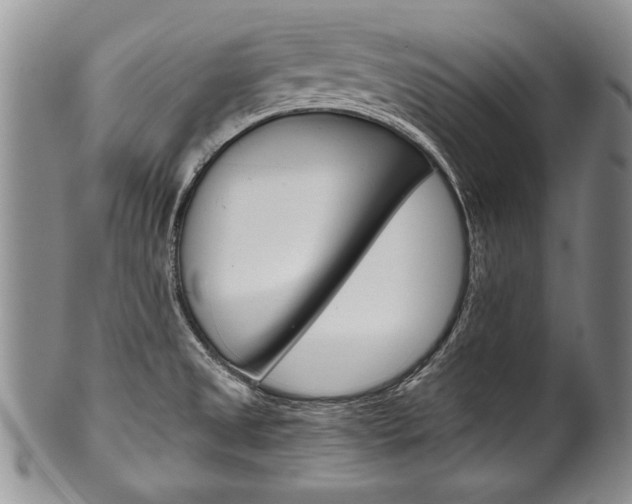 X0000101121525200806261033