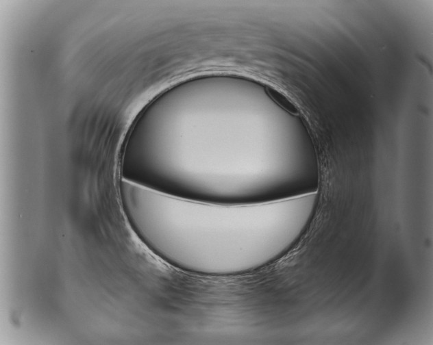 X0000101121527200806261033