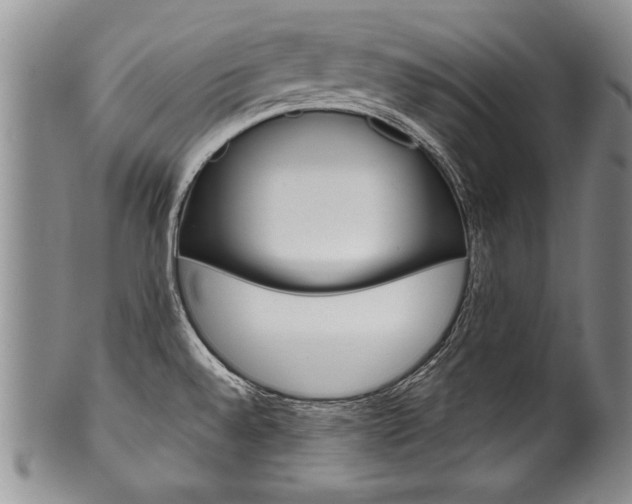 X0000101121528200806261033