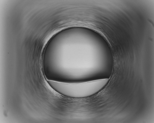 X0000101121531200806261033