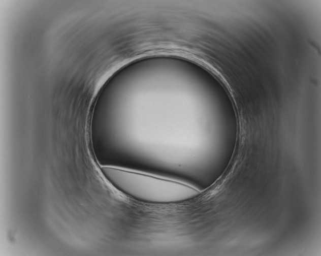 X0000101121533200806261033