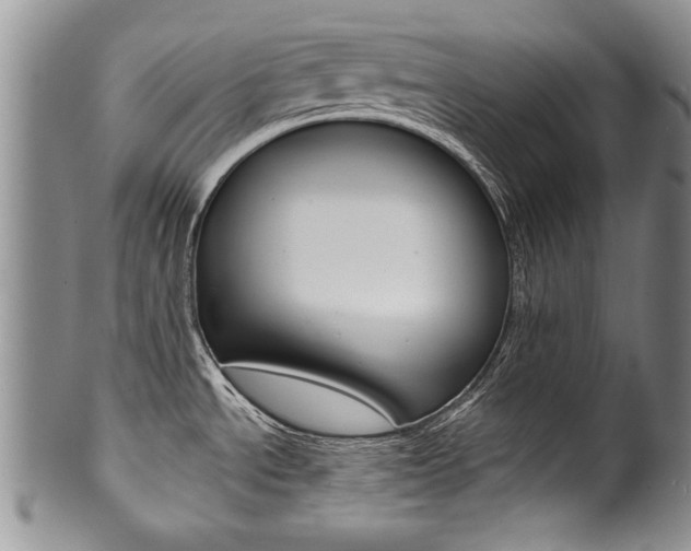 X0000101121534200806261033