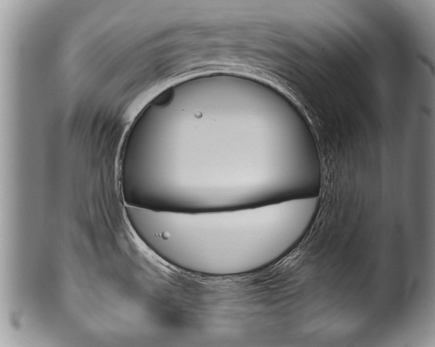 X0000101121535200806261033