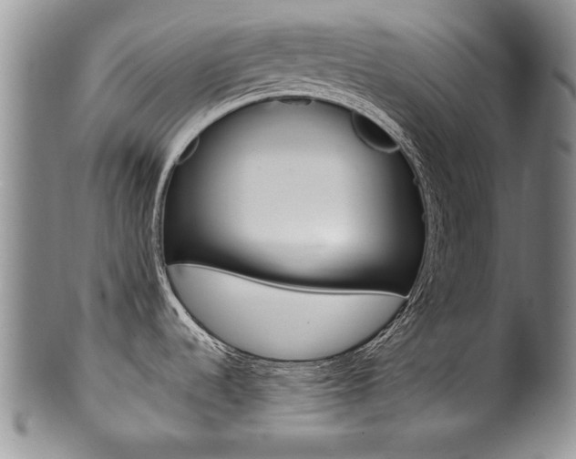 X0000101121536200806261034