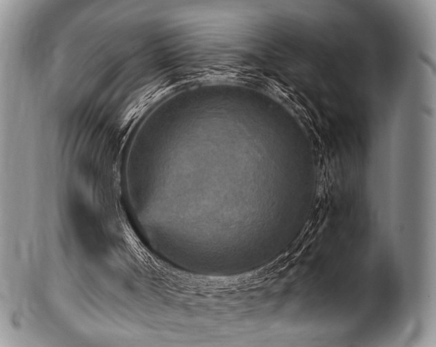 X0000101120002200806261447