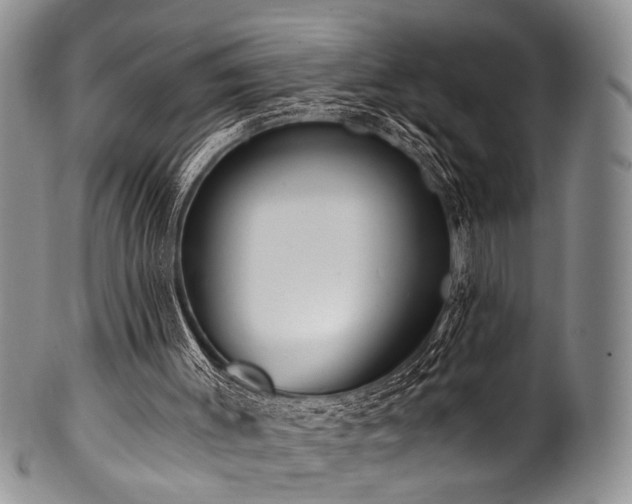 X0000101120003200806261447