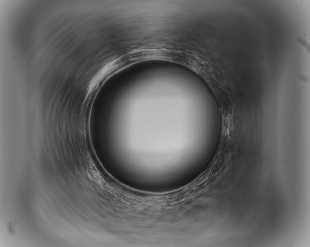 X0000101120004200806261447