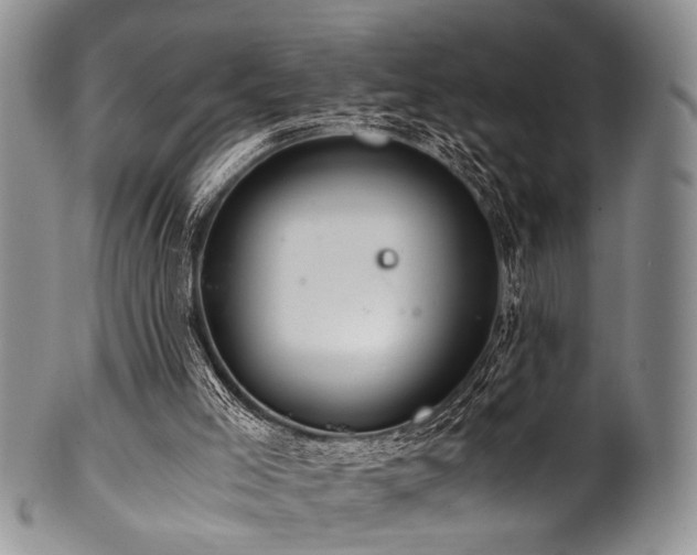 X0000101120005200806261447