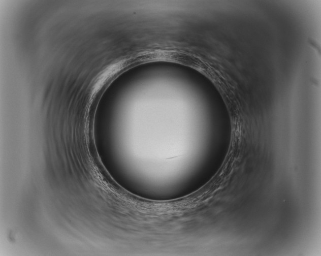 X0000101120006200806261447