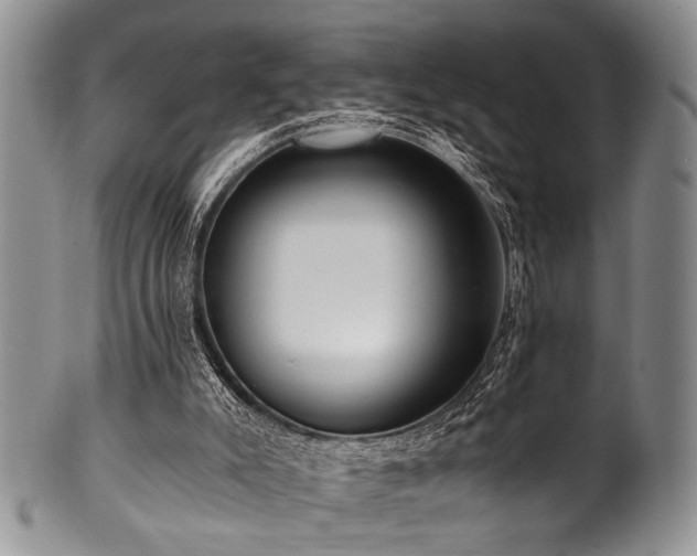 X0000101120007200806261447