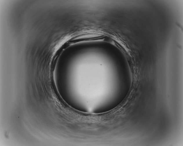 X0000101120008200806261447