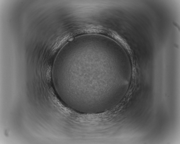 X0000101120009200806261447