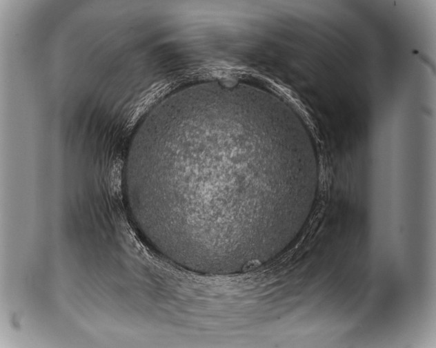 X0000101120010200806261447