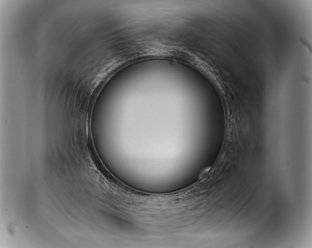 X0000101120011200806261447