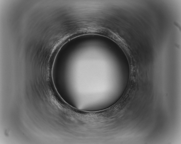 X0000101120012200806261447