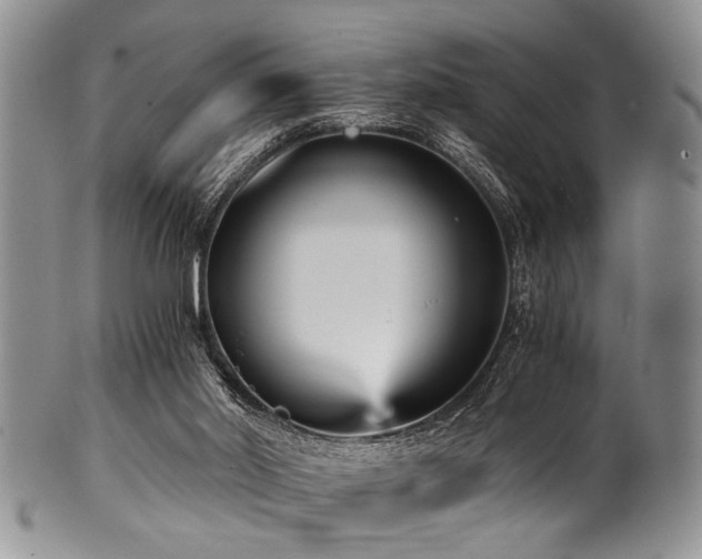 X0000101120014200806261447