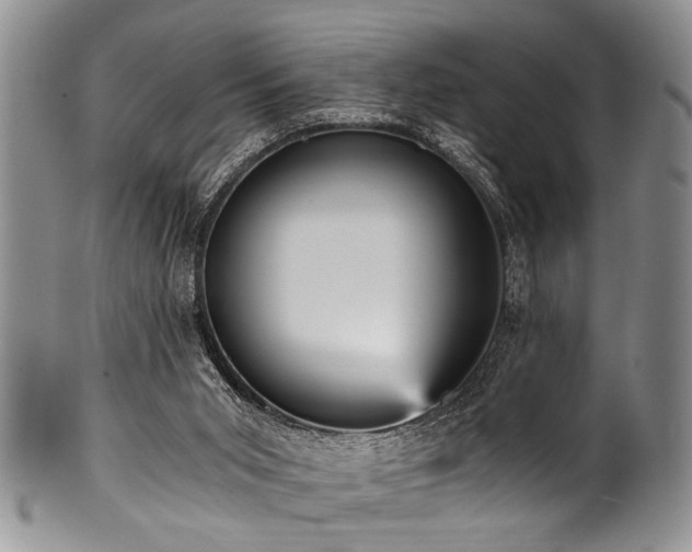 X0000101120015200806261447