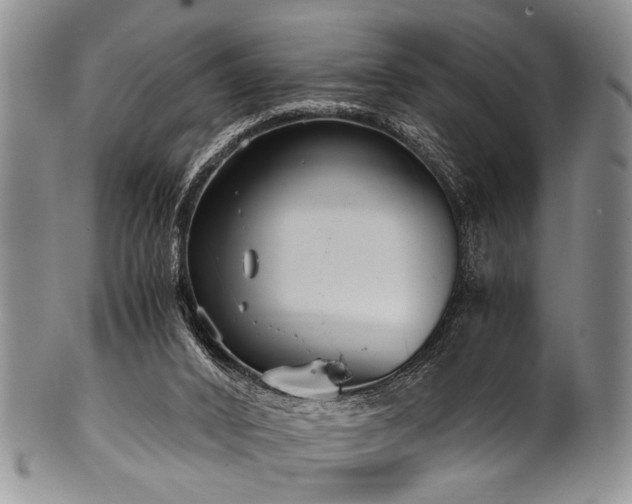 X0000101120016200806261447