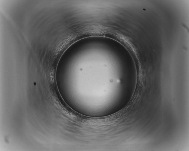 X0000101120017200806261447