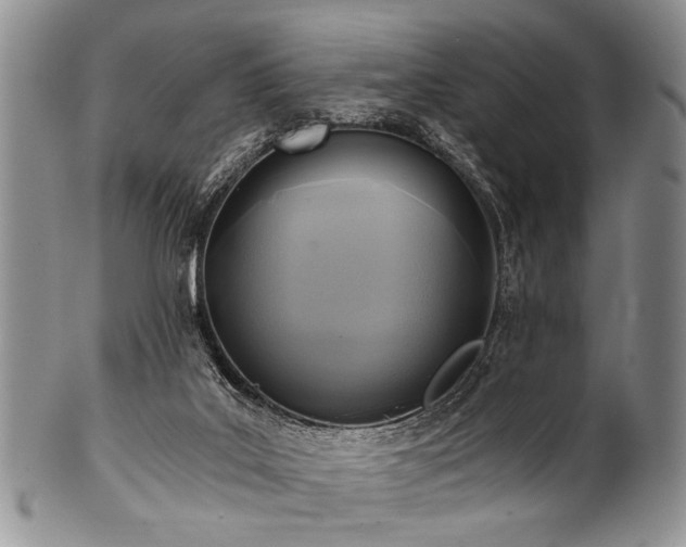 X0000101120019200806261447