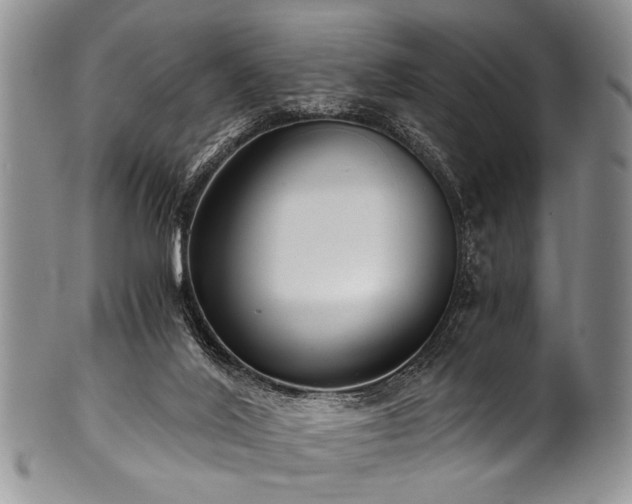 X0000101120020200806261447