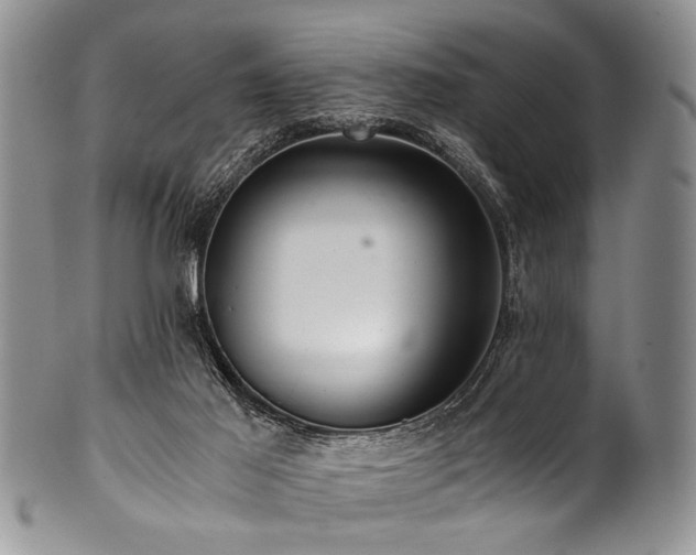 X0000101120021200806261447