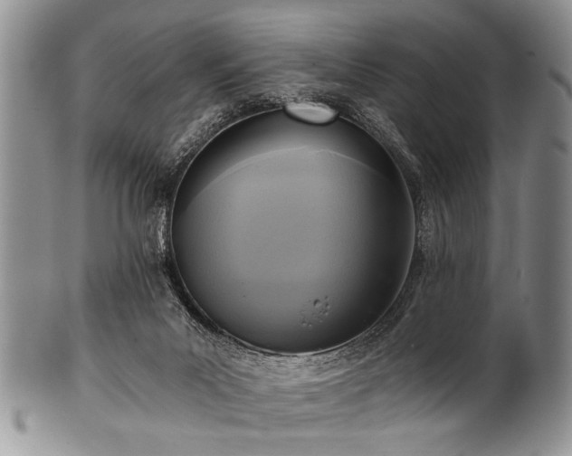 X0000101120023200806261447